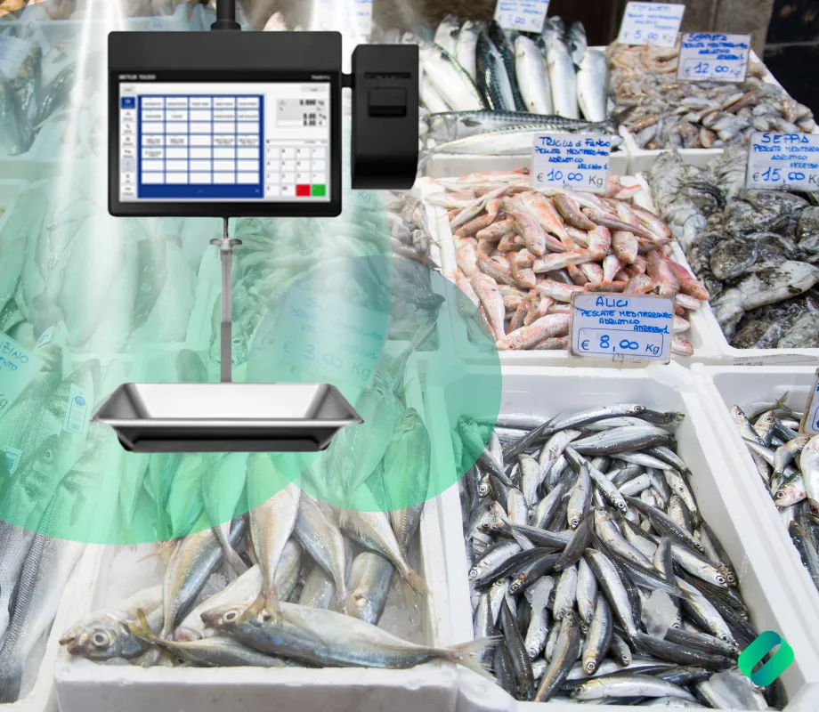 Balance-Suspendue-La-Reunion-974-Poissonnerie