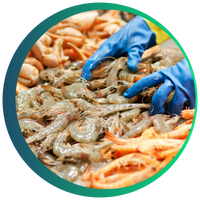 Poissonnerie Metrologie